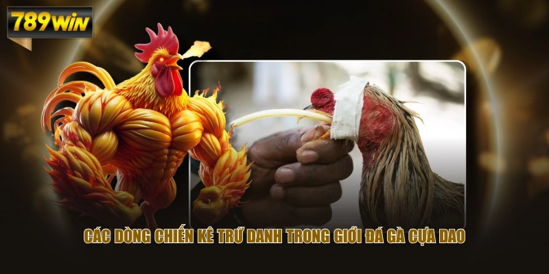 Khám Phá Đá Gà Cựa Dao Chi Tiết Từ A Đến Z Cho Tân Thủ 4 Các dòng chiến kê trứ danh trong giới đá gà cựa dao