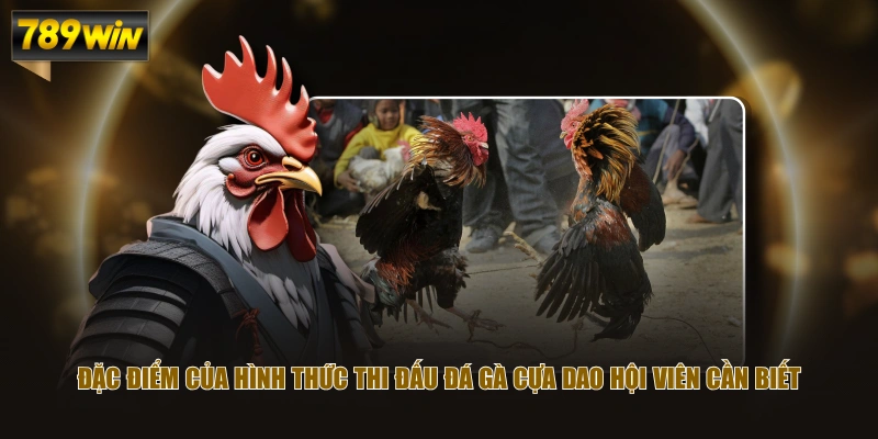 Khám Phá Đá Gà Cựa Dao Chi Tiết Từ A Đến Z Cho Tân Thủ 2 Đặc điểm của hình thức thi đấu đá gà cựa dao hội viên cần biết