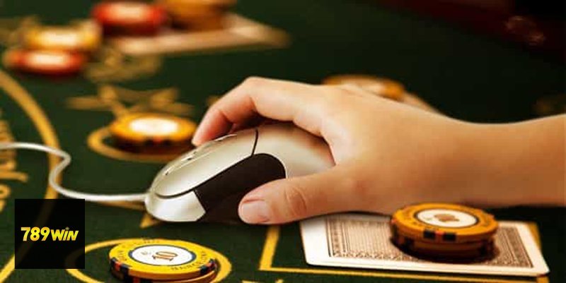 Giấy Phép Hợp Pháp - Điều khoản giao dịch có minh bạch không?