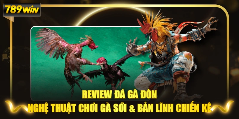 Review Đá Gà Đòn: Nghệ Thuật Chơi Gà Sới & Bản Lĩnh Chiến Kê
